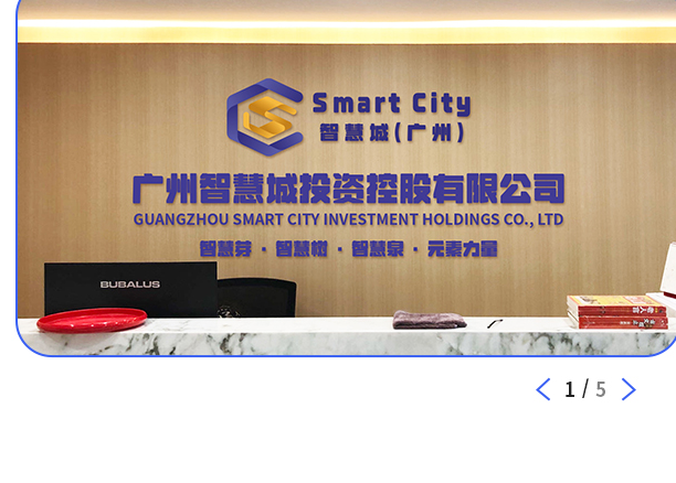 广州智慧城投资控股有限公司前台展示